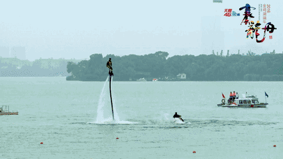 0 (2).gif